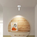 Axyaa Metal LED Ceiling Wall Lamp for Art Exhibition Decor