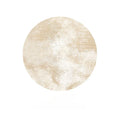 Axyaa Luxury Cream Large Area Carpet - Soft, Waterproof, High-End Bedroom Rug