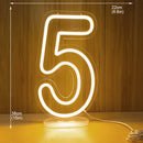 Axyaa Neon Party Sign 38cm Birthday Lights USB Powered with Dimmable Base