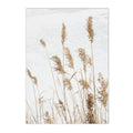 Axyaa Chrysanthemum Butterfly Canvas Print - Nordic Beach Wall Art Poster