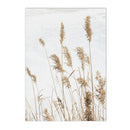 Axyaa Chrysanthemum Butterfly Canvas Print - Nordic Beach Wall Art Poster