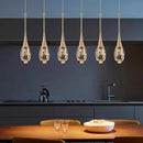 Axyaa Modern LED Chandelier Ceiling Lamp for Living Room Dining Indoor Lighting