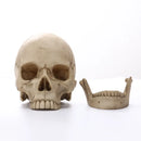 Axyaa Human Skull Statue Resin Figurine Home Decor Halloween Medical Teaching Model