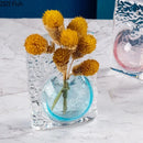 Axyaa Glacier Wrinkles Glass Vase Hydroponic Flower Pots for Modern Home Decor