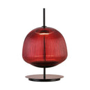 Axyaa Glass Table Lamp LED Decoration Desk Light