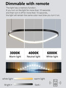 Axyaa Minimalist Round LED Pendant Light for Dining Living Kitchen Bedroom