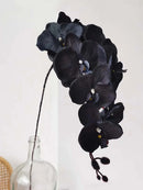 Axyaa Black Butterfly Orchid Silk Cloth Artificial Flower Home Decoration