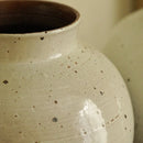 Axyaa Ceramic Countertop Vase - Modern Home Flower Arrangement Piece