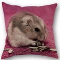 Axyaa Hamster Series Sofa Cushion Cover Pillowcase - Home Party Car Bedding