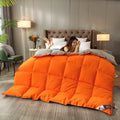Axyaa 3D Down Quilt - Luxury Goose Down Comforter with Soft Cotton Fabric