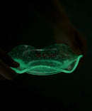 Axyaa Luminous Glass Plate for Creative Desserts and Fruits