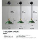 Axyaa Modern Nordic Loft Vintage Chandelier LED Pendant Light