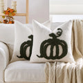 Axyaa Chenille Plush Pumpkin Embroidered Cushion Cover for Home Decor