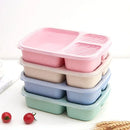 Axyaa Wheat Straw Bento Box with Compartment - Eco-Friendly & Microwave Safe