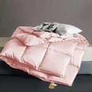 Axyaa Winter Quilt Core - Thickened, Warm, Single, Student Dormitory, Four Seasons