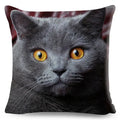 Axyaa Fold Ear Cat Pillow Covers - Set of 2 Cute Pet Pillowcases