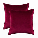 Axyaa Velvet Throw Pillow Cover Set for Sofa Bedroom, Modern Gift Pillowcase