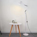 Axyaa Long Arm Telescopic Floor Lamp