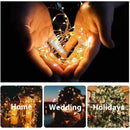 Axyaa Solar LED Garden Fairy Light String for Festive Outdoor Decor.