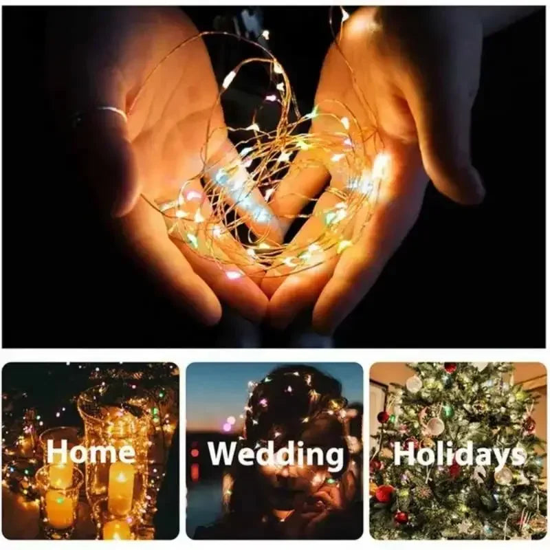 Axyaa Solar LED Fairy Light String for Outdoor Festoon Garden Decoration