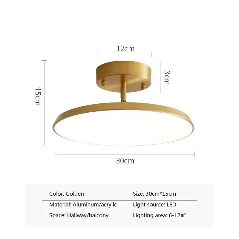 Axyaa Rotatable LED Ceiling Light for Home Decor