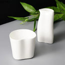 Axyaa Ceramic Gravy Boat Set: Creative Irregular Design for Specialty Tableware