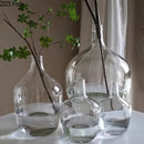 Axyaa Glass Vase: Big Belly Flower Arrangement Hydroponics Home Decoration