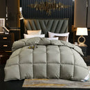 Axyaa Winter Quilted Goose Down Duvet with 100% Cotton Cover