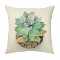 Axyaa Succulents Cactus Cushion Cover - Modern Home Decor Pillowcase