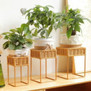 Axyaa Rustic Wicker Plant Stand with Flowerpot Indoor Decor Shelf