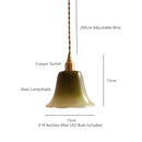 Axyaa Green Pink Glass Pendant Light: Elegant E14 LED Hanging Lamp for Home Decor