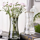Axyaa Glass Vase for Lilies: Minimalist Nordic Living Room Decor