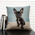 Axyaa Bulldog Dachshund Cushion Cover 45x45cm Square Linen Pillowcase
