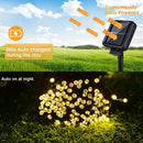 Axyaa Solar String Lights - Outdoor Fairy Lights, Waterproof, Copper Wire, 20/50/100LED