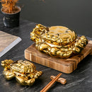 Axya Crab Shell Ceramic Plate Set