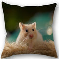 Axyaa Hamster Series Sofa Cushion Cover Pillowcase - Home Party Car Bedding