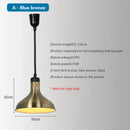 Axyaa 250W Heat Lamp Pendant Light for Food Heating or Holding
