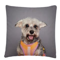 Axyaa Dog Art Print Polyester Cushion Cover for Home Sofa Car Decor