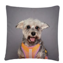Axyaa Dog Art Print Polyester Cushion Cover for Home Sofa Car Decor