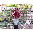 Axyaa Hyper Realistic Big Red Aloe Vera Plant 26" Tall in Matte Black Pot