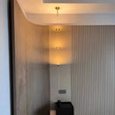 Axyaa Modern Minimalist LED Floor Lamp for Living Room Backdrop