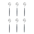 Axyaa Matte Stainless Steel Teaspoon Set for Dessert, Coffee, Ice Cream - 6 Pcs