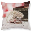Axyaa Lovely Little Hedgehog Design Cushion Cover for 45*45cm Sofa Pillow