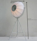 Axyaa Nordic Tripod Floor Lamp for Modern Living Spaces with LED Light