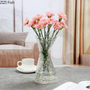 Axyaa Clear Art Glass Vase for Flowers - Decorative Transparent Hydroponic Ornament