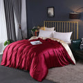 Axyaa Mulberry Silk Duvet Cover Queen Skin Beauty Comforter Cover Bed Blanket