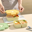 Axyaa Divided Lunch Box: Large Capacity, Sealed Container for Food, Fruit, Salad