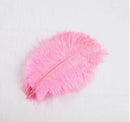 Axyaa Nordic Ostrich Feather Table Lamp - Pink & White Bedside Romantic Wedding