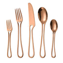 Axyaa Stainless Steel Cutlery Set - Knife, Fork, Spoon, Teaspoon & Dessert Spoon