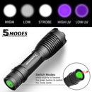 Axya UV 395nm Flashlight: Ultraviolet Torch for Pet Urine, Scorpions, Blacklight Detector
